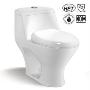 Sanitary Ware Water Closet with Cupc Certification (TT1011)