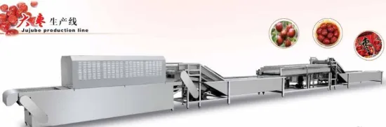 stainless steel date washing machine /dates processing machinery