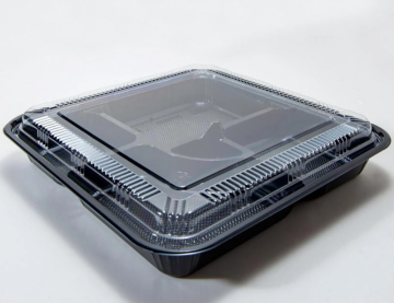 International standard disposable bento box