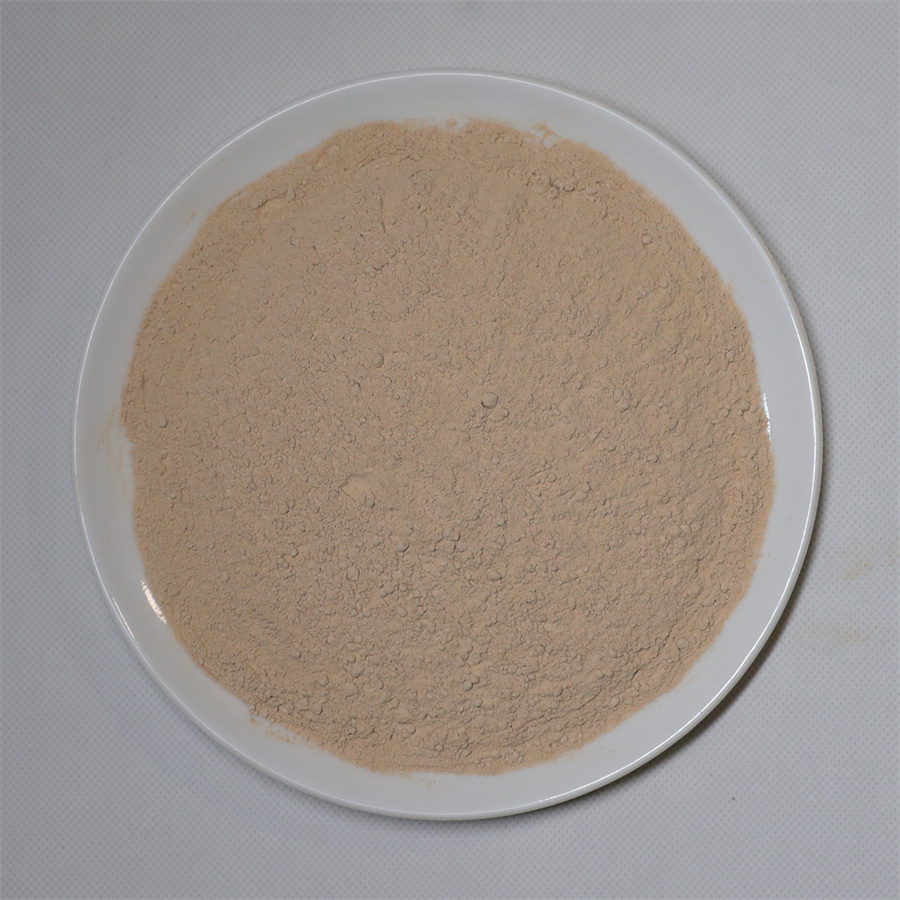 Dried Shiitake Mushroom Powder