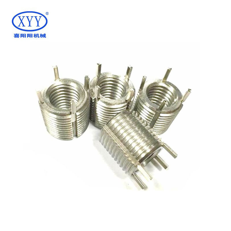 M6*1-M10*1.25-10L Model Stainless Steel Bolt Insert Locking