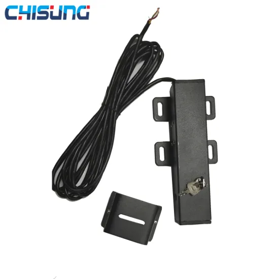 Wholesale DC24V Electric Lock for Swing Gate Openers - Suitable for Farm and Villa Gates