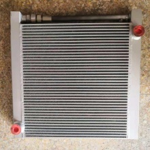 Оригинальные запчасти Roller XS120 (HRQ-64) Радиатор охлаждения