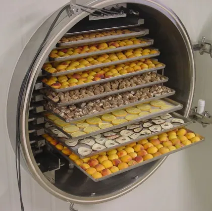 Vacuum Snack Food Lyophilizer Scented Tea Freeze Drying Machine