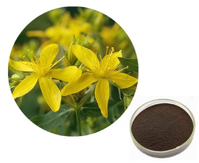 hypericum perforatum flower extract