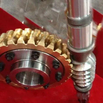 China Customized Machinery Accessories Worm Gear Manufacturers and Suppliers