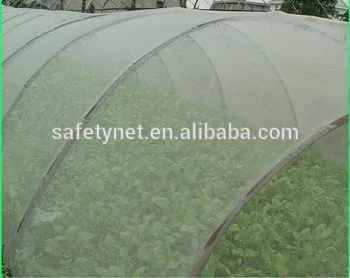 insectproof net anti insect net insect protective net