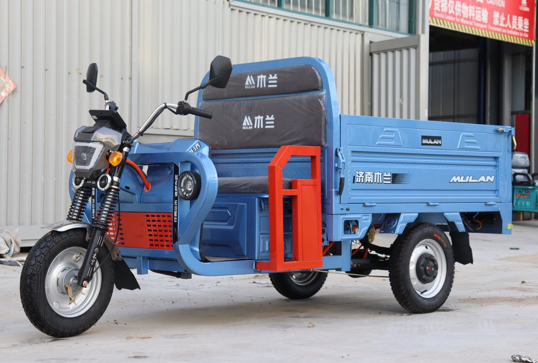 Cargo Electric Tricycle