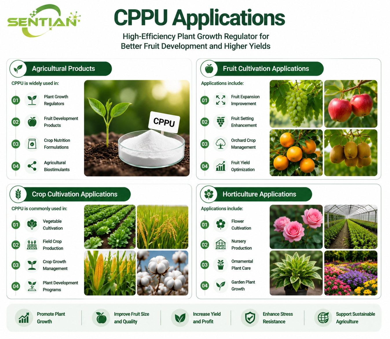 CPPU(3)