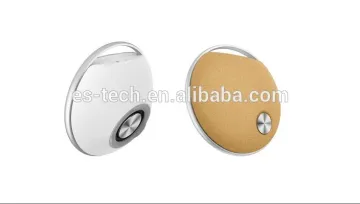 Home Theater DJ Speakers