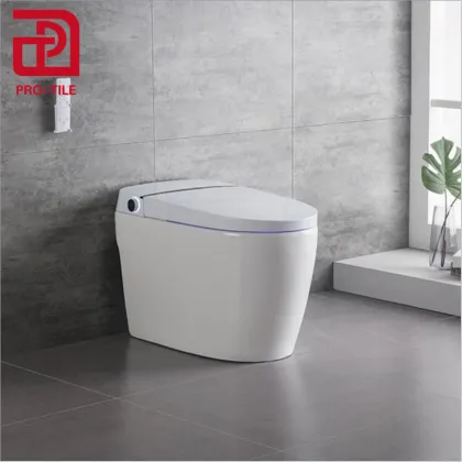 Mobile Intelligent Toilet for Five-Star Hotels