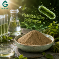Paenibacillus Polymyxa مكونات الأسمدة الحيوية الميكروبية