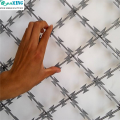 Type Concertina Razor Barbed Wire Mesh (ISO9001: 2001)