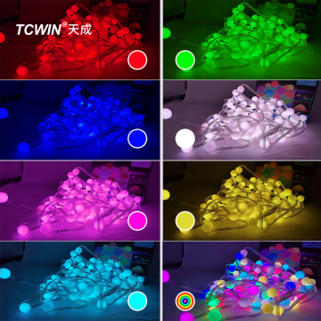 Globe Fairy String Lights with BT Music Control & TUYAWIFI Control - DIY Shape Lights for Parties and Weddings