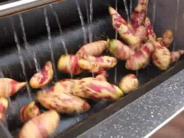 Promotional Price 1000-1500kg/h small potato peeling machine In Nepal