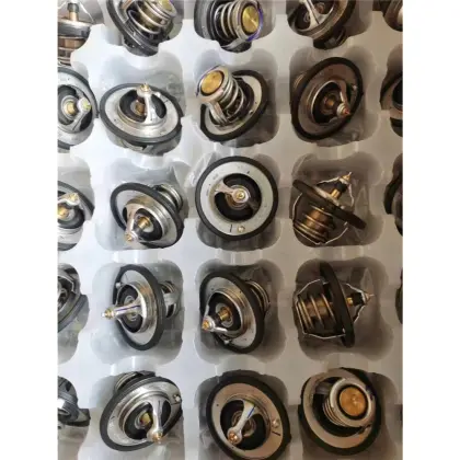 Good Quality Smart Temperature Controller Thermostat 255002B000