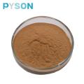 lucidum extract Reishi mushroom extract powder