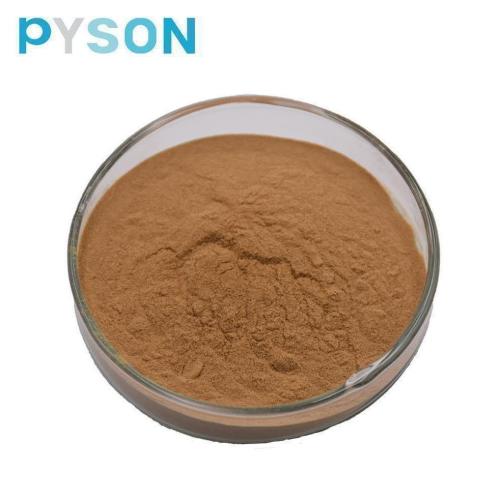 lucidum extract Reishi mushroom extract powder
