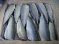 Fishen Fish Pacific Mackerel Mackerel nel pacchetto di vaccumi