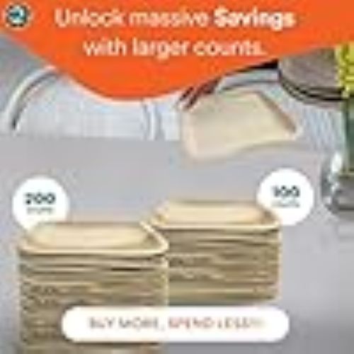 100 - count 6 - inch Square Palm Leaf Plates, Disposable, Eco - Friendly, Biodegradable Bamboo Plates for Party, Cateri