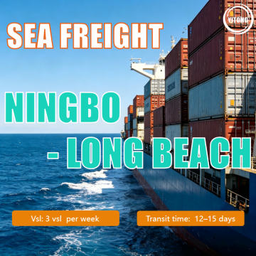 Spedizione marittima da Ningbo a Long Beach negli Stati Uniti
