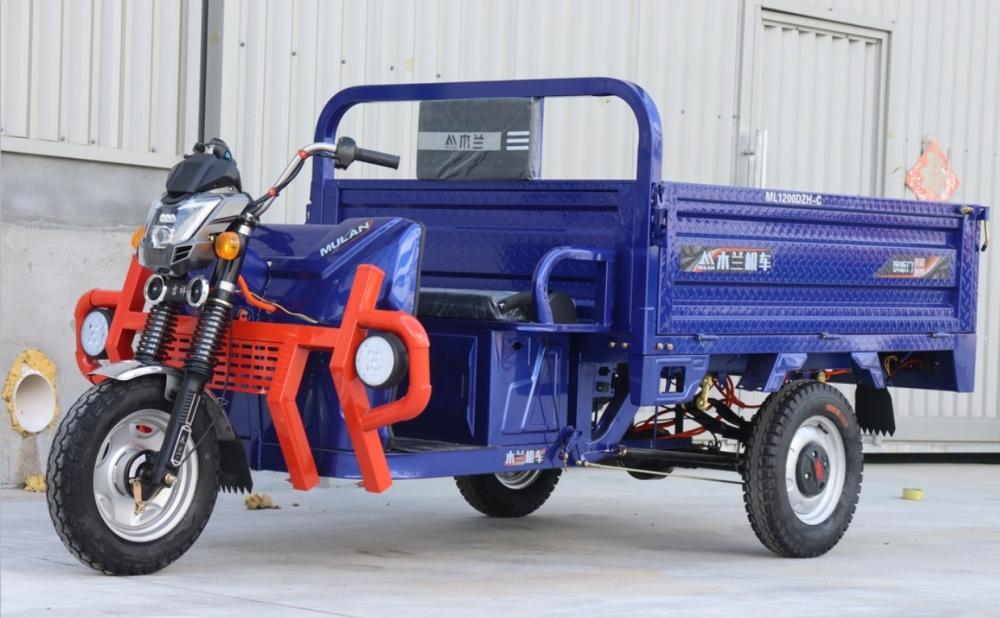 Long endurance Cargo Electric Tricycle