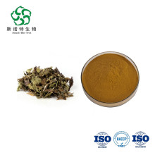 Water Soluble Lycopi Extract Powder