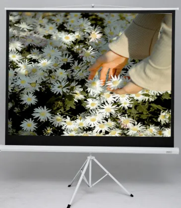 Grey Blue Screen Film for Anti-Light Projector Screen