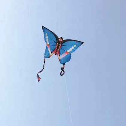 New Model Butterfly Kite: Fly High and Beautiful