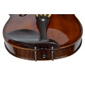 Spruce and Maple Solid Wood Violin