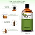 100% orgánico de naturaleza pura destilación de vapor Árbol de té Aceite esencial para la piel del cabello y las uñas aromaterapia