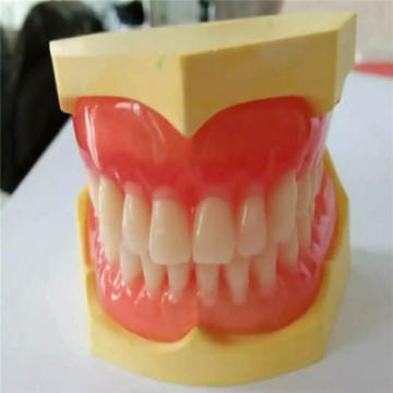 Denture de dents en polymère synthétique de deux couches