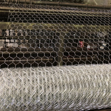 PVC rivestito e galvanizzato Mesh di filo esagonale per pollai - 1/2 pollice e 3/4 pollici