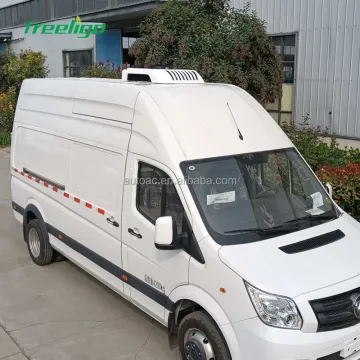 Competitive Prices for 12V Truck Refrigeration Units for Food Trucks and Vans
