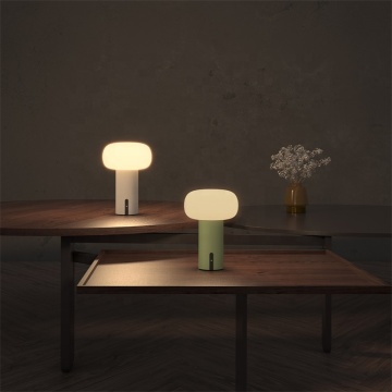 2023 Factory Direct Wholesale Hot Desk Lamp Night Light for Bedroom