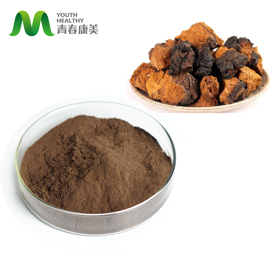 Chaga -Pilz -Extraktpulver Kilo