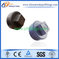 ANSI b 1.20.1 forjada rosca macho NPT Square Plugs