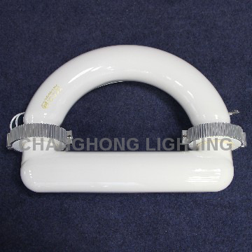 CE&UL D shape magnetic induction lamp