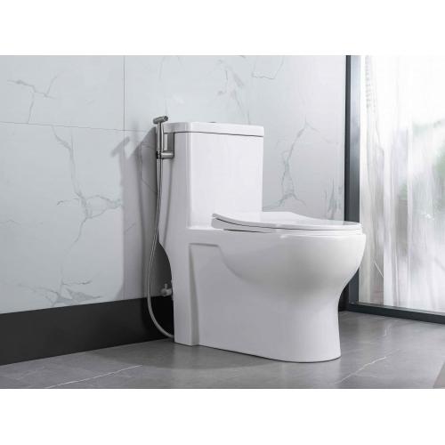 Kit de bidet de inodoro inoxidable de 304 stentales con pulverizador de botones