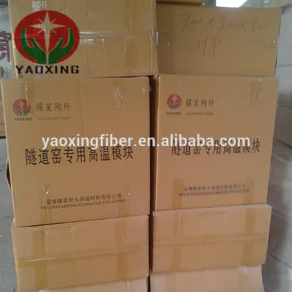 China common ceramic fiber module