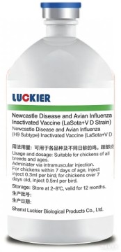 ND & AI H9 Inactivated Vaccine for Poultry