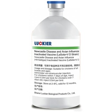 Vaccin inactivat ND &amp; AI H9 pentru păsări