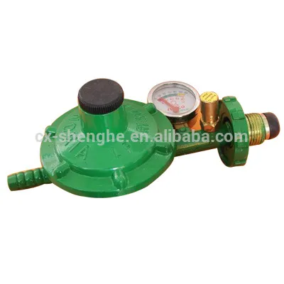 OEM your brand gas pressure regulator