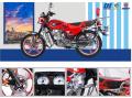 HS125-7C New Design 125cc Gas Motorcycle