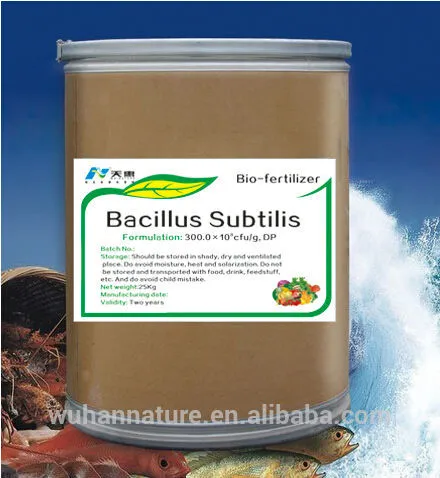 Bio organic fertilizer Bacillus sublilis 300 billion cfu/g DP