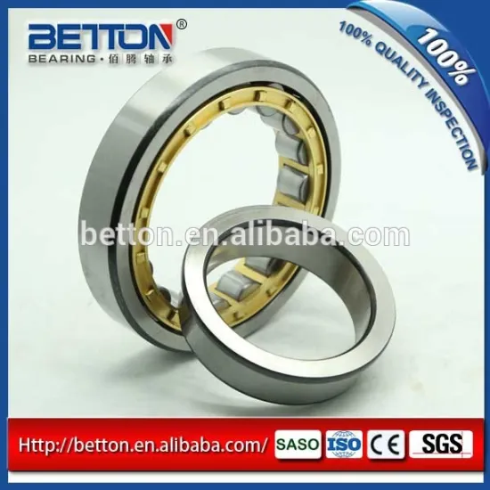 Cylindrical Roller Bearing NUP307