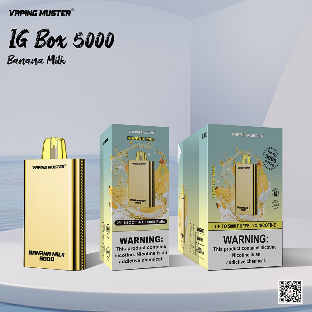 IG Box E-Cigarette 5000 Puff