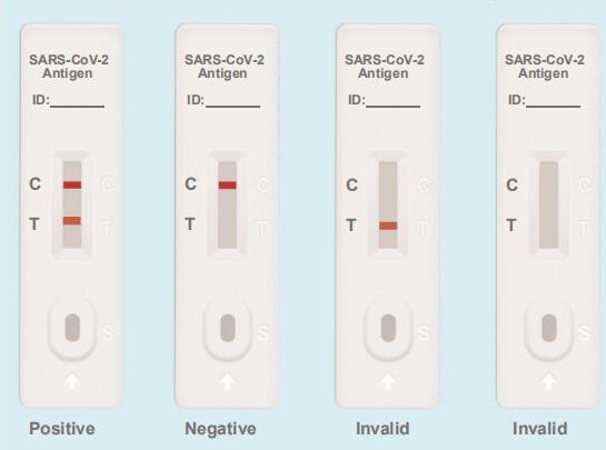 Testing Results