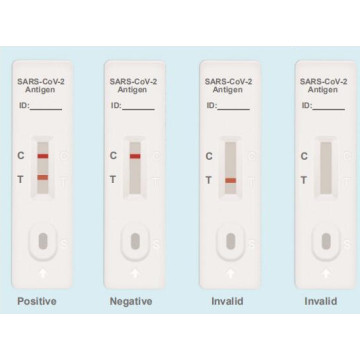 Novel Corona Virus Ag Rapid Test Kit