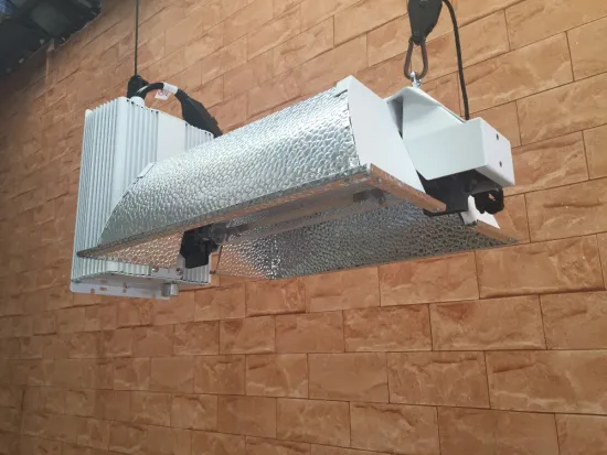 1000W Green house double ended grow light with ballast